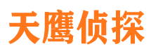 岭东私家侦探